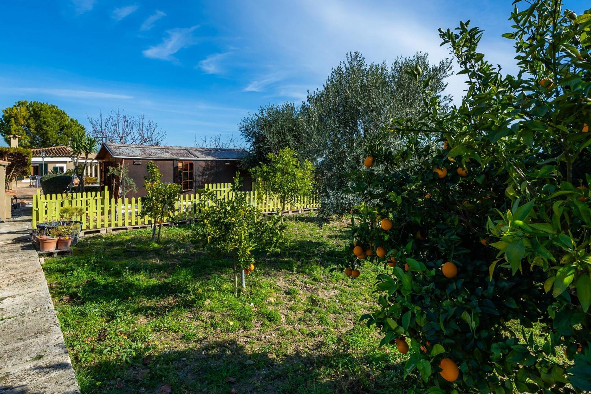 Villa Son Macia Selva (Mallorca)